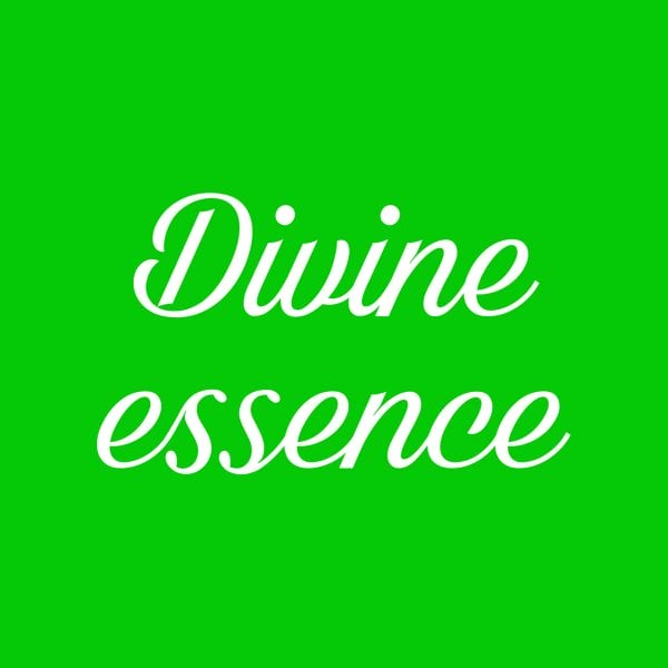 Divine Essence