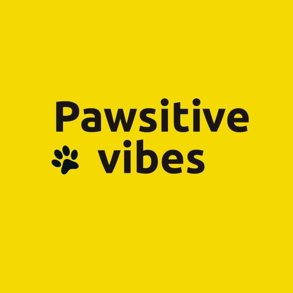 Pawsitive Vibes